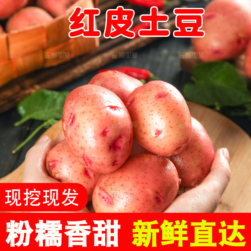 手里捧着土豆