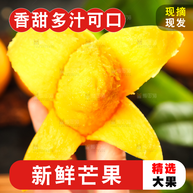 手里拿着小台芒