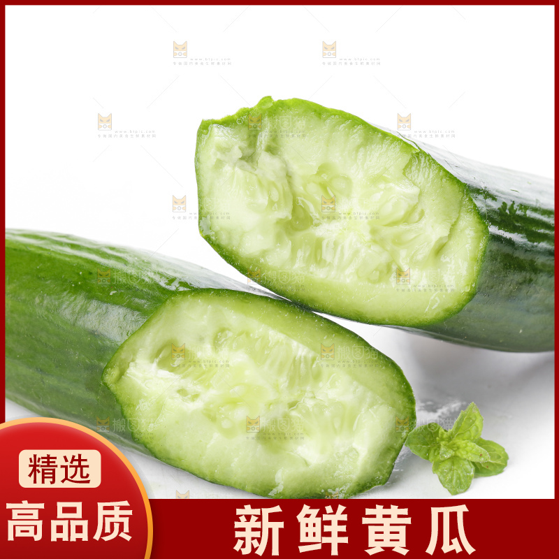 白底上摆放着山东水果黄瓜