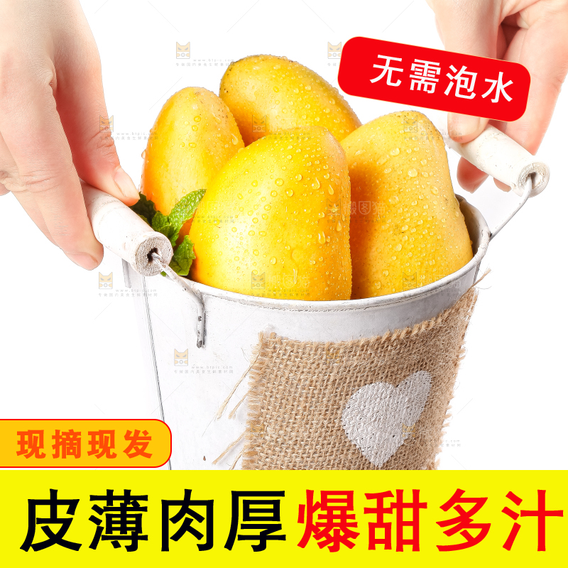 手里拿着台农芒