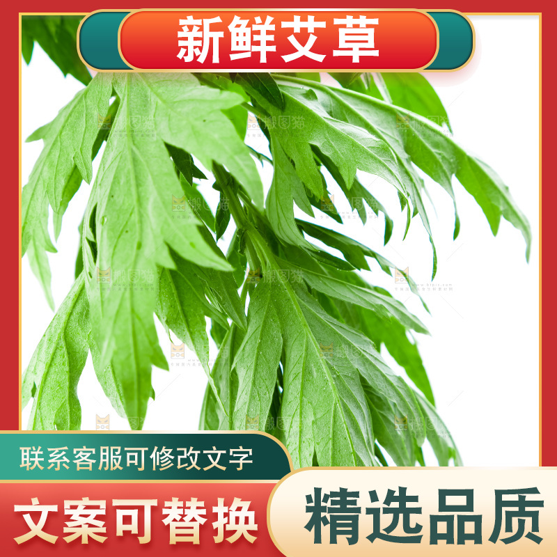 白底上放着艾草叶