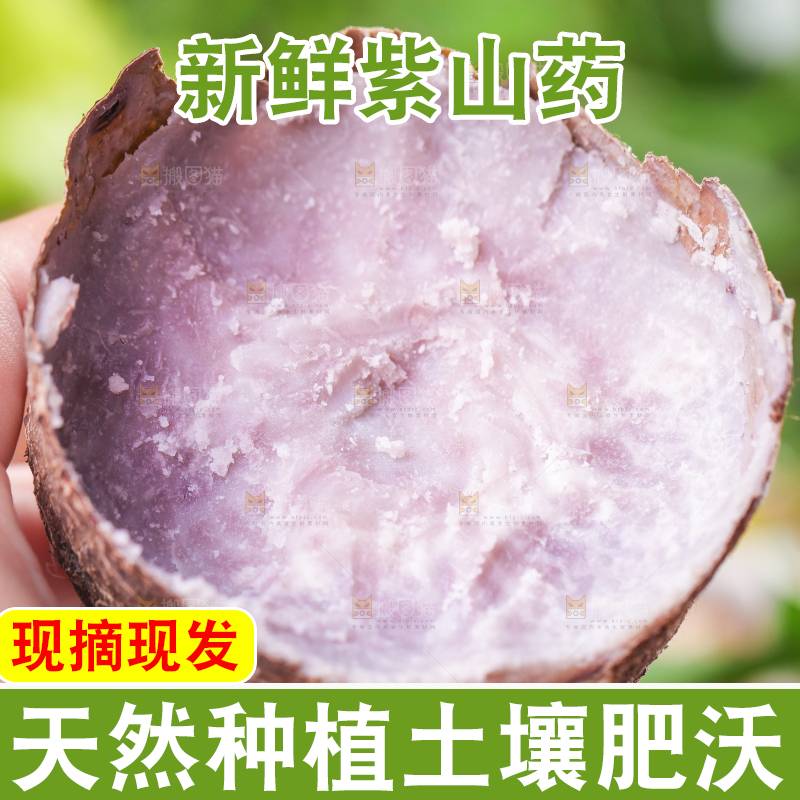 手里拿着紫藤芋头