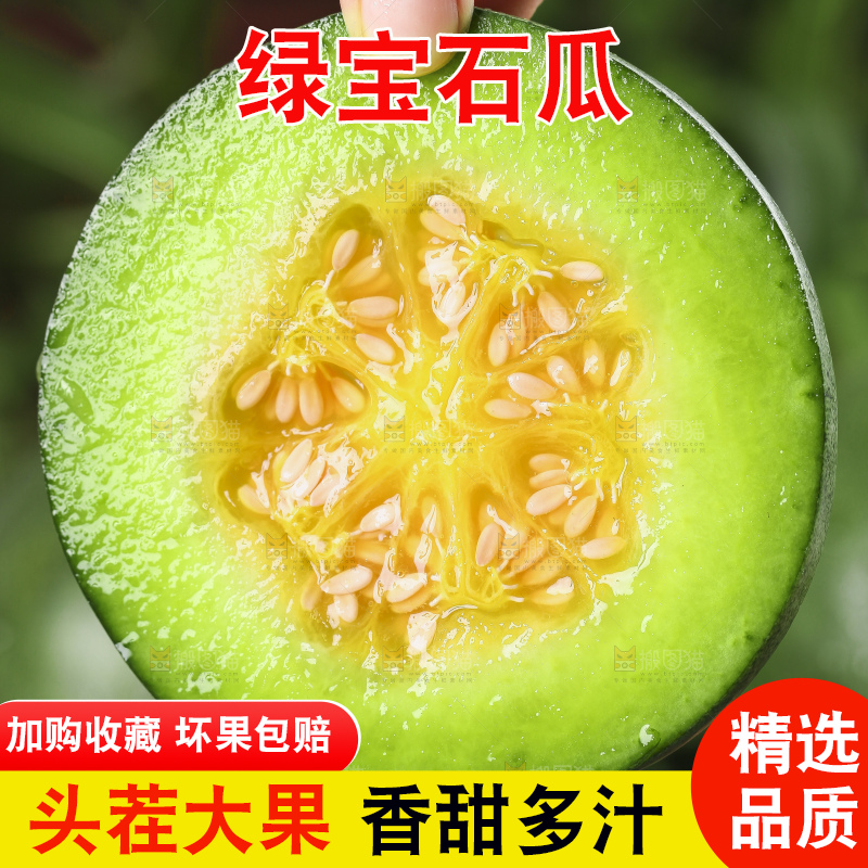 手里拿着绿宝甜瓜