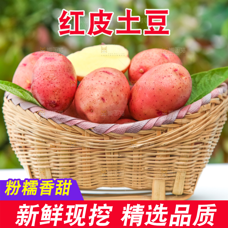 篮子里装着红皮黄心土豆