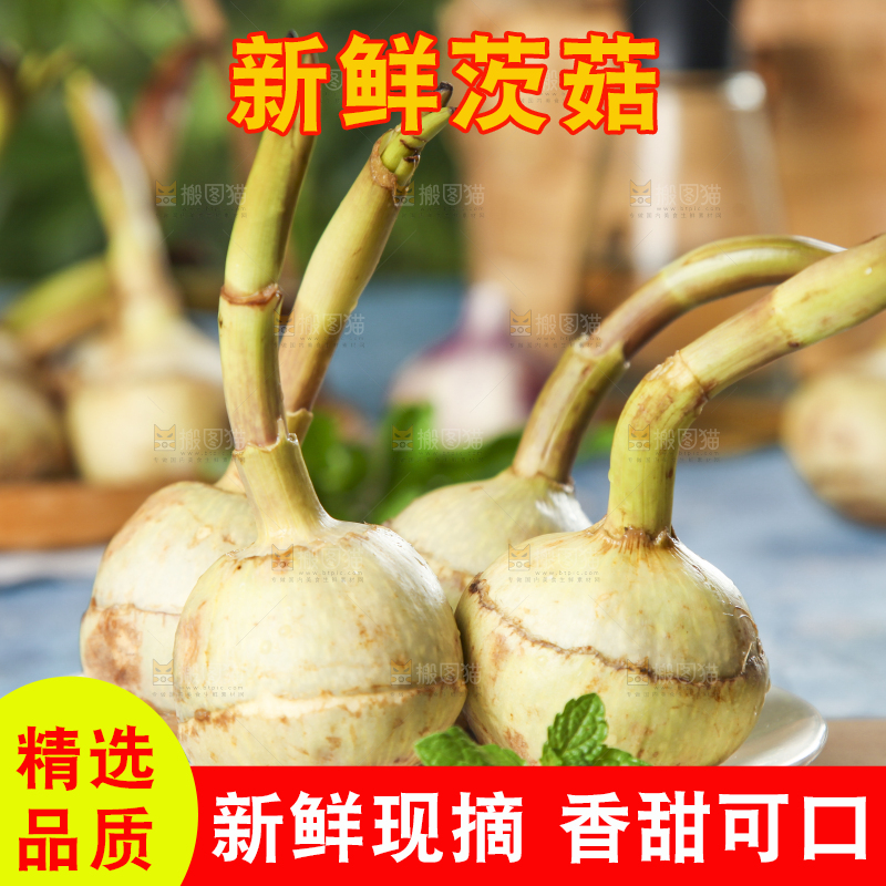 盘子里装着白慈菇