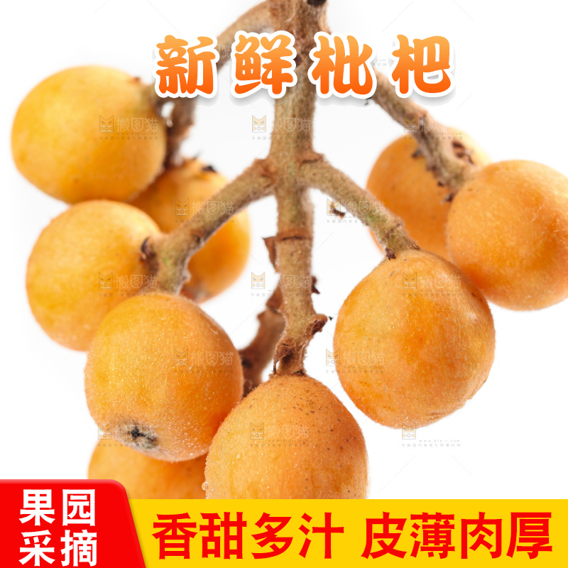 白底上放着云南蒙自枇杷