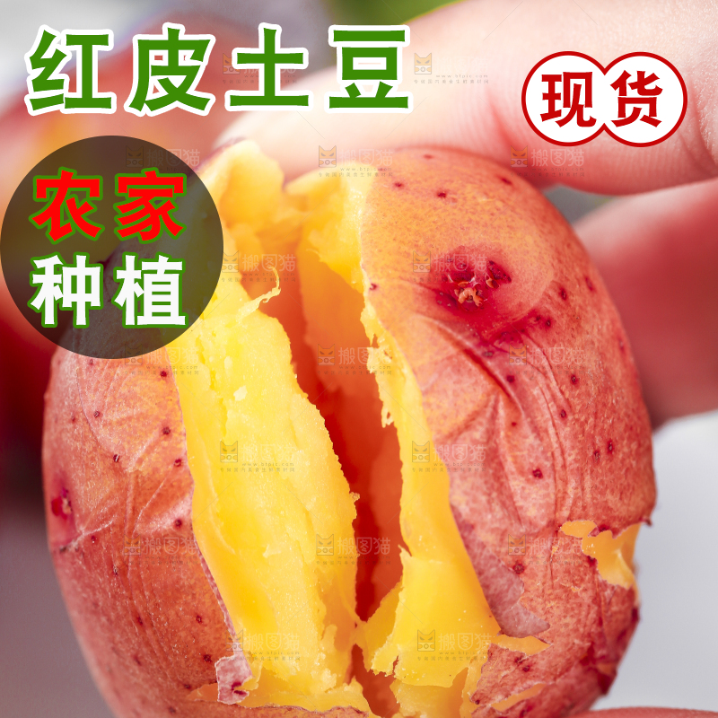 手里拿着红皮土豆