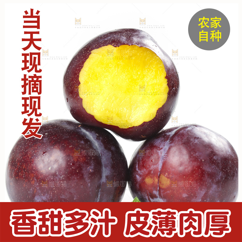 白底上放着智利黑布林李子