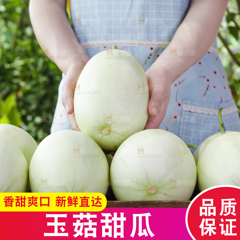 手里拿着玉菇香瓜