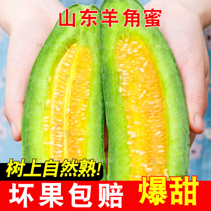 手里拿着羊角蜜甜瓜