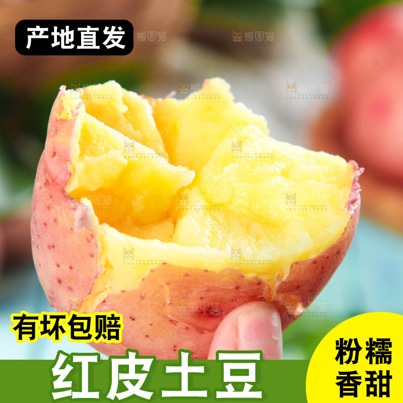 手里拿着红皮土豆