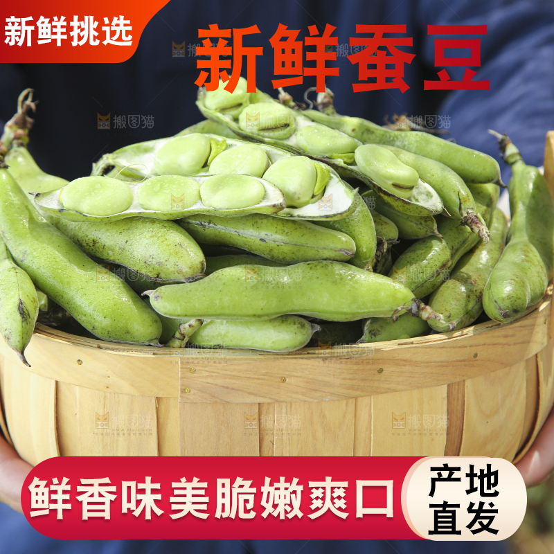 手里提着一篮子农家蚕豆