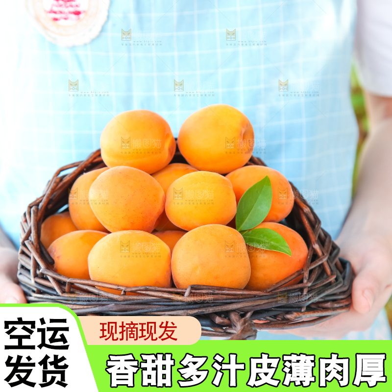 手里拿着一篮黄杏