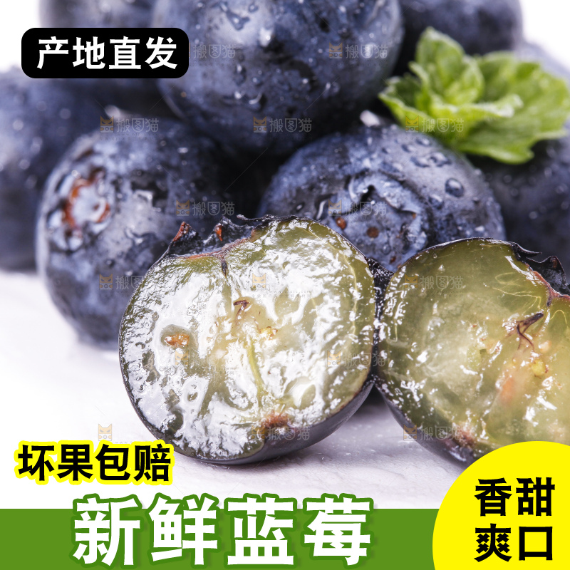 白底上摆放着进口蓝莓