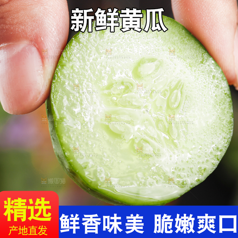 手里拿着嫩黄瓜