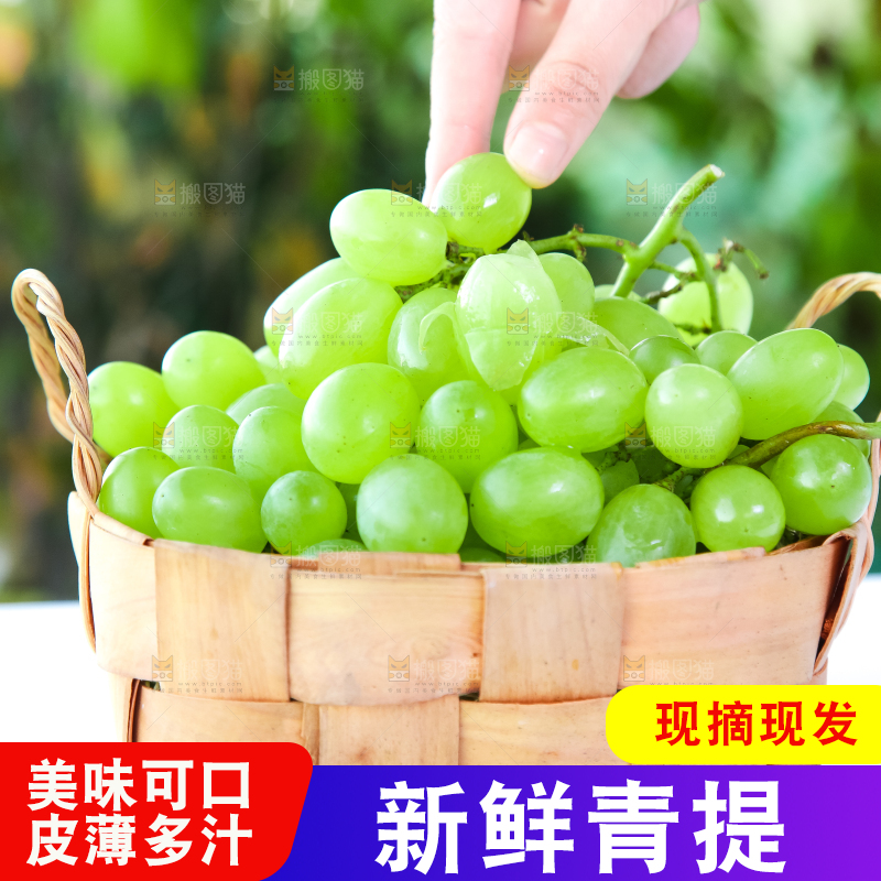 篮子里装着青提葡萄