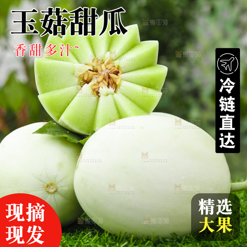 绿草地上摆放着玉菇甜瓜