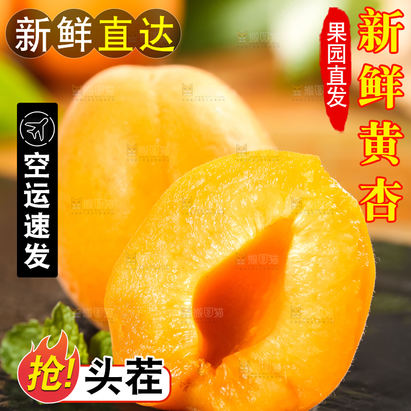 黑底上放着黄杏