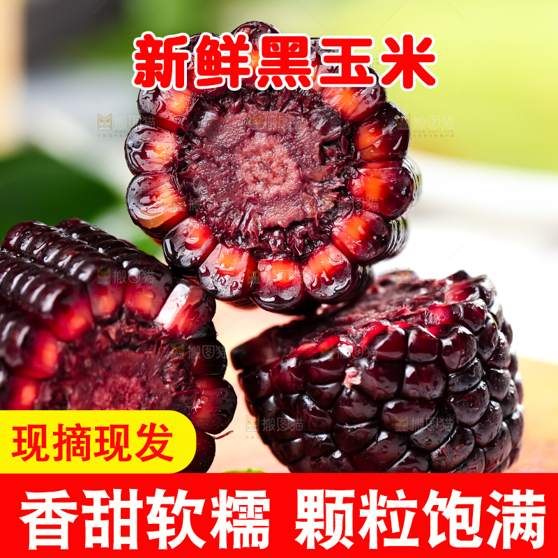 木底上放着紫黑玉米
