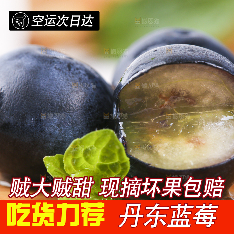 木板上摆放着高山蓝莓
