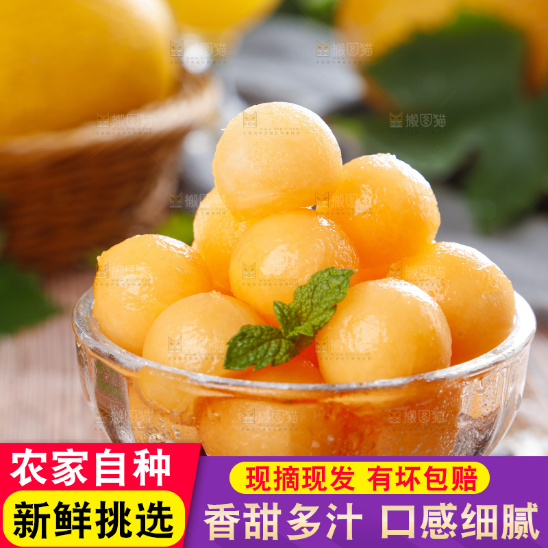 哈密瓜主图