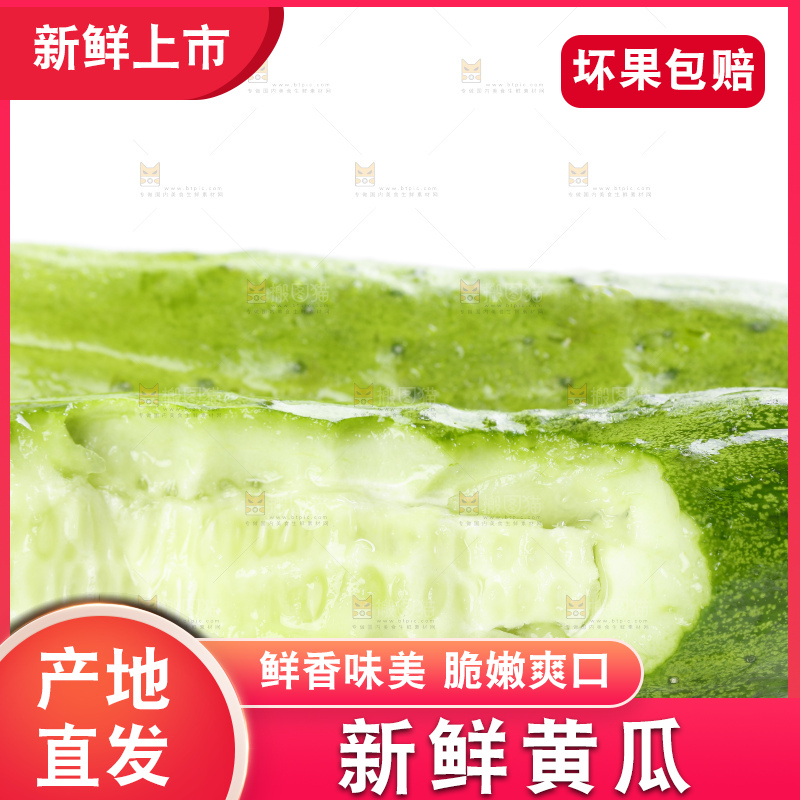 白底上放着刺青瓜