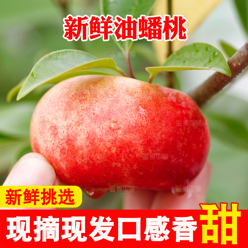手里拿着油蟠桃