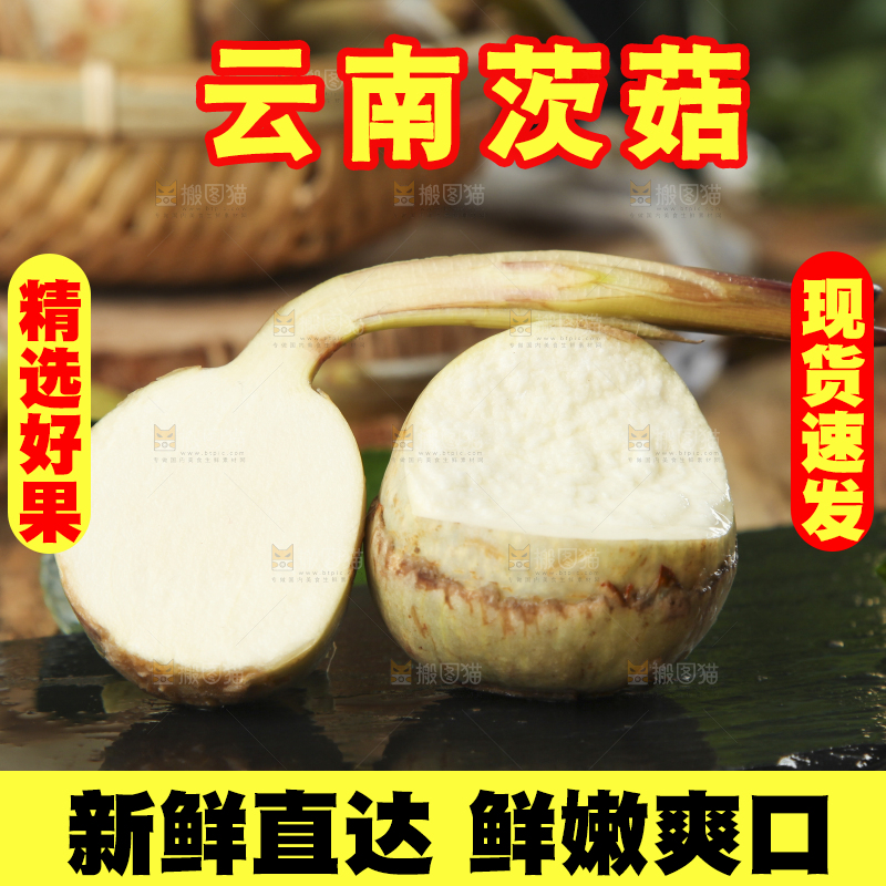 黑底上放着云南新鲜茨菇