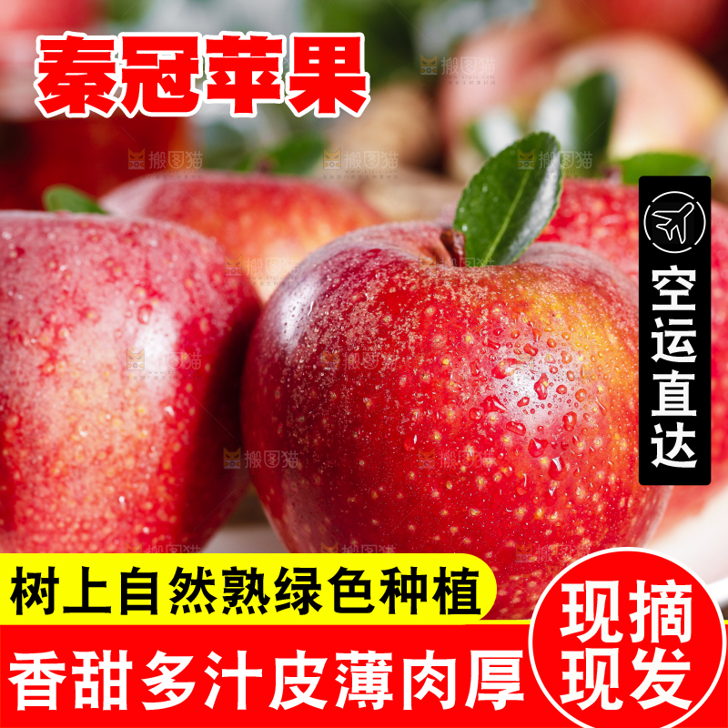 黑底上摆放着秦冠苹果