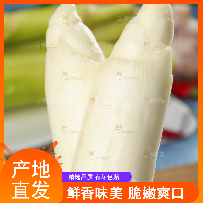 手里拿着茭白