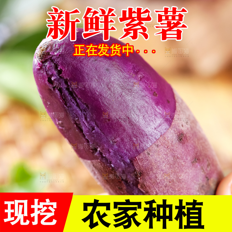 手里拿着紫薯