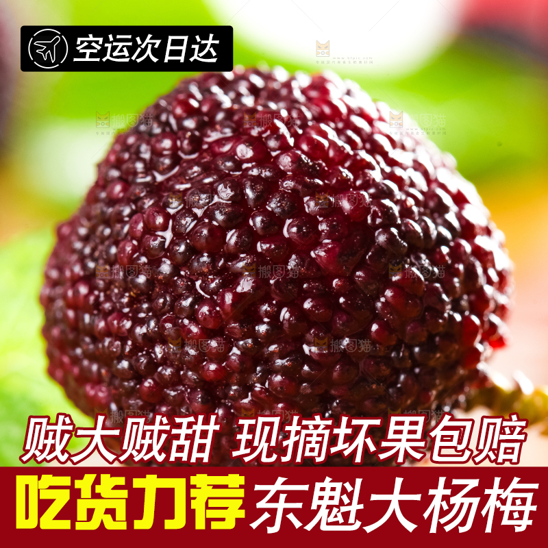 木底上放着仙居杨梅