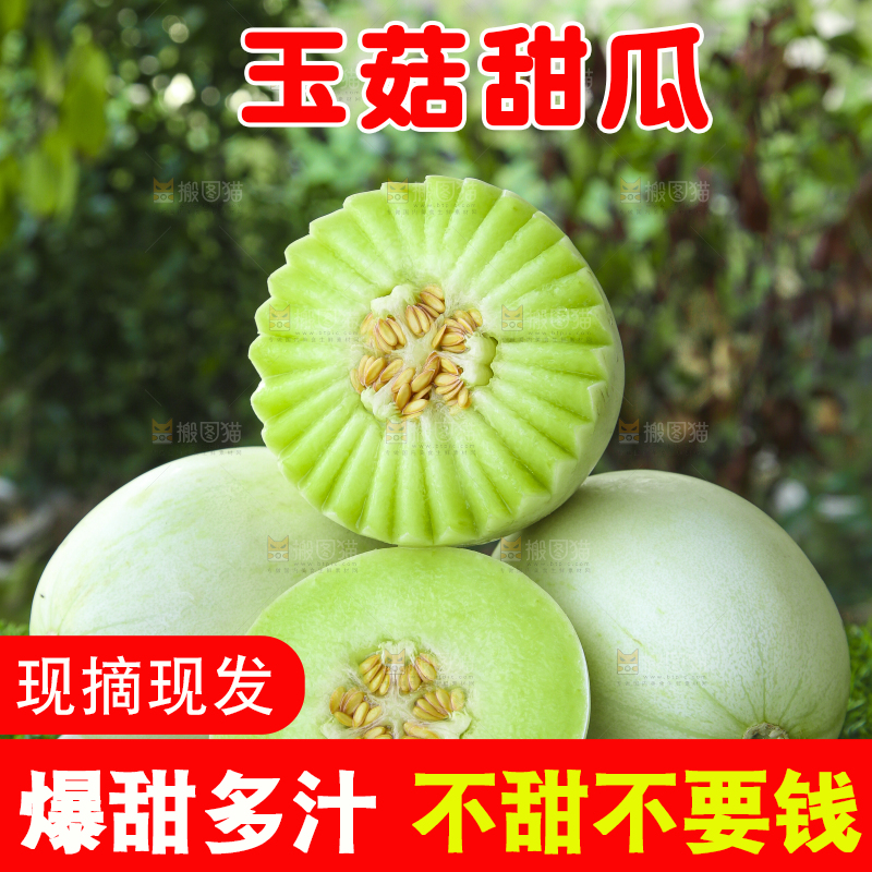 绿草地上放着一盘玉菇香瓜