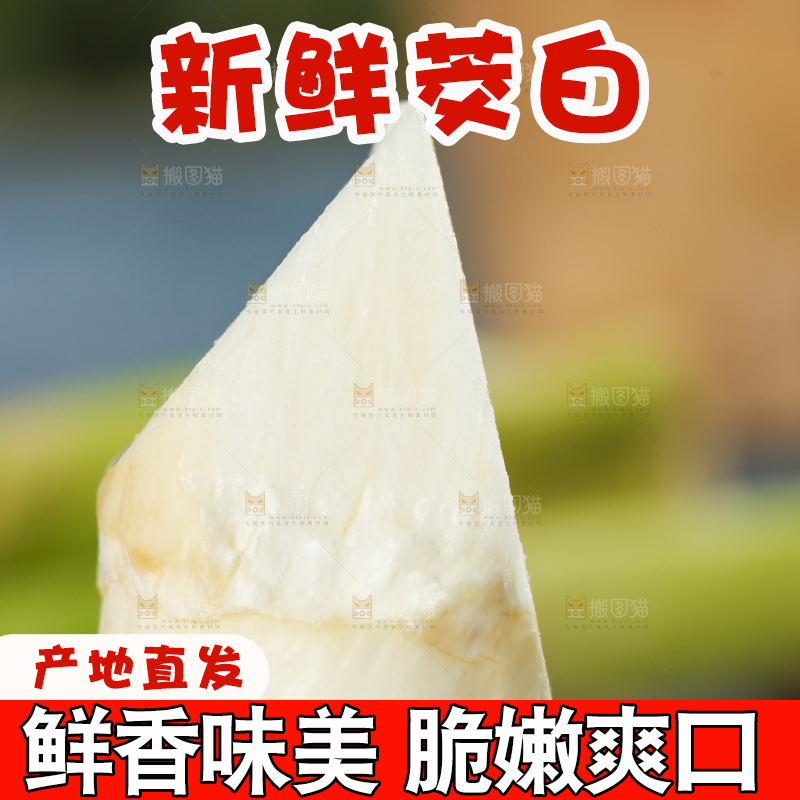 手里拿着茭白