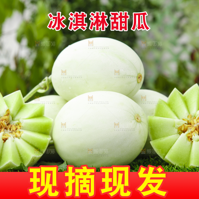 绿草地上摆放着玉菇甜瓜