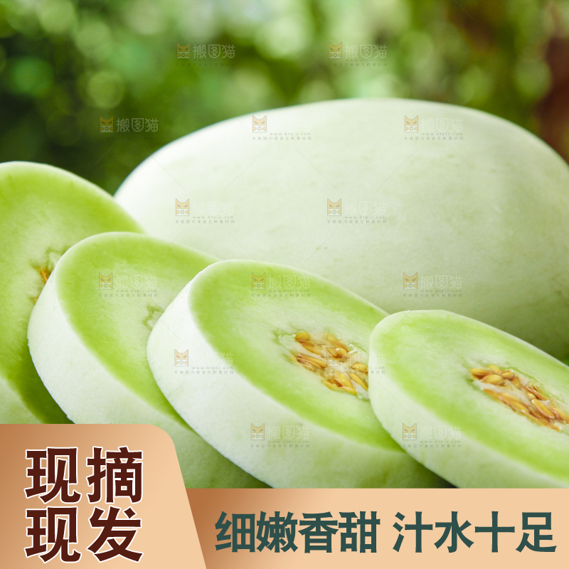 绿草地上摆放着玉菇甜瓜