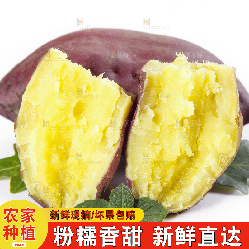 白底上摆放着桥头红薯
