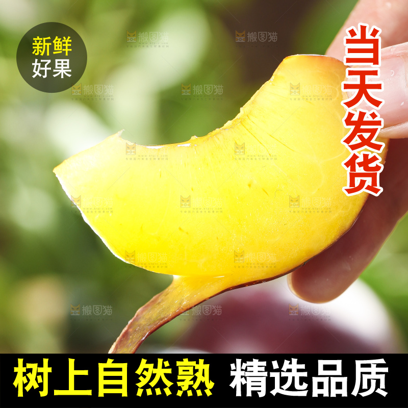 手里拿着黑布林
