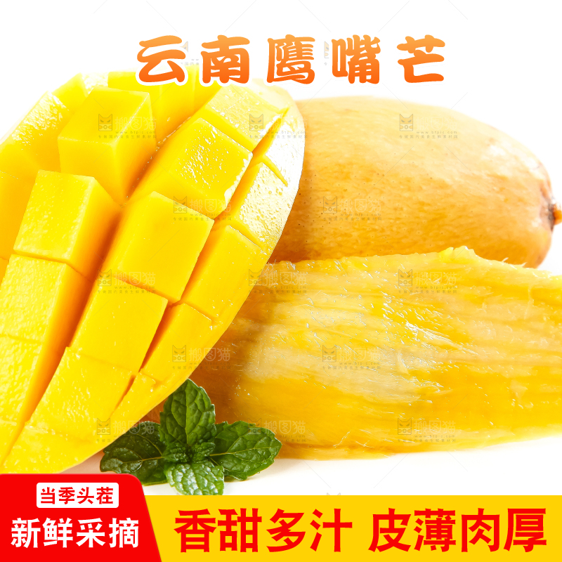 白底上放着云南鹰嘴芒