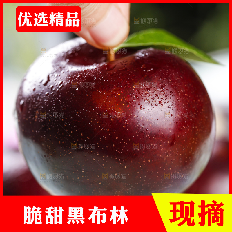 手里拿着黑李子