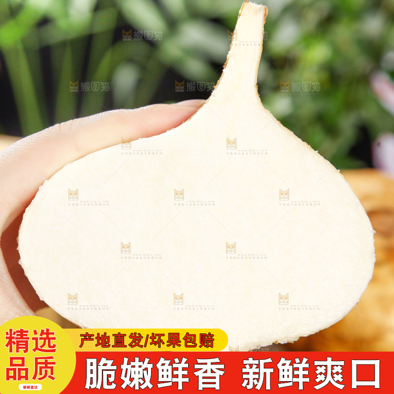 手里拿着地瓜