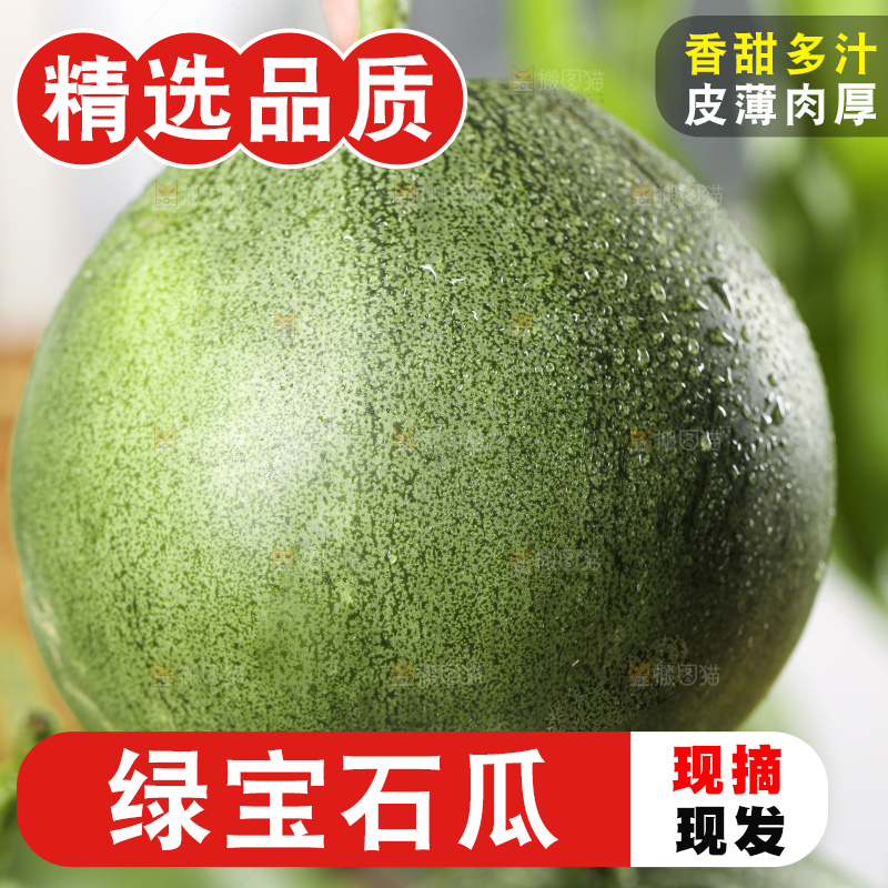 手里拿着绿宝甜瓜