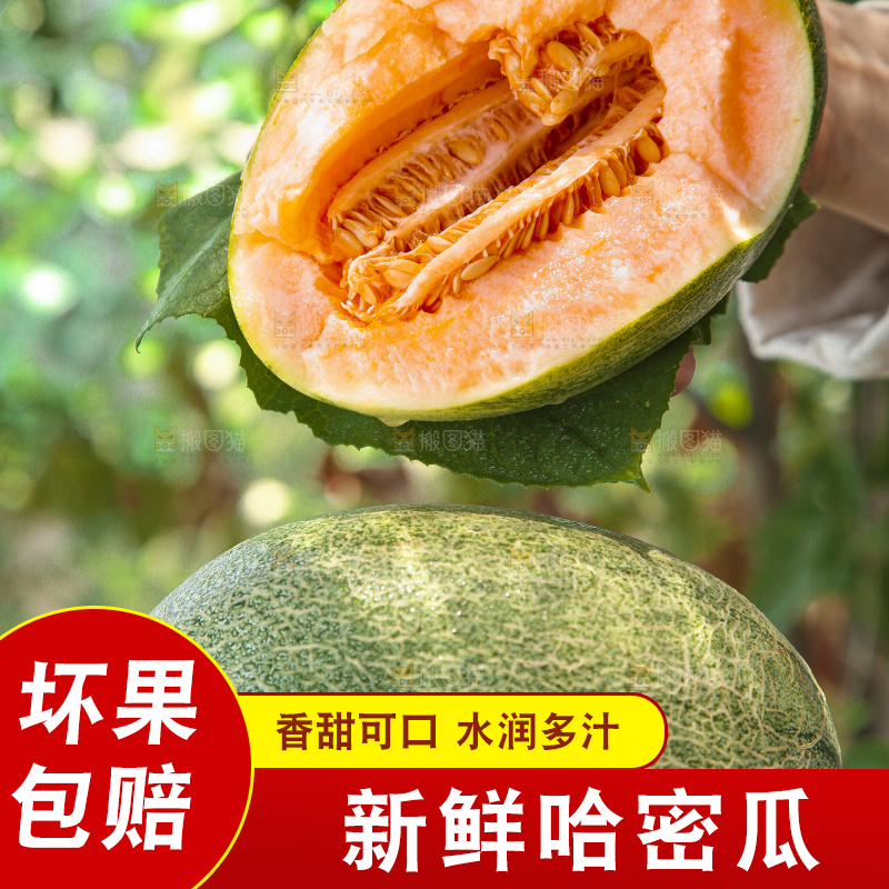 手里拿着网纹蜜瓜