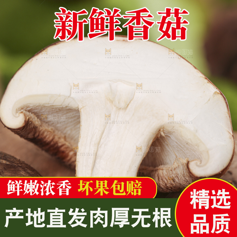 编织垫上放着香菇