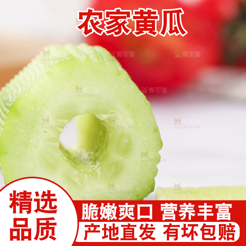 白底上摆放着小黄瓜