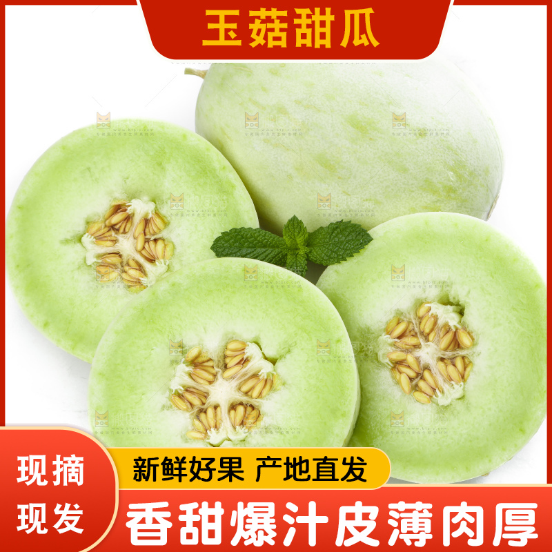 白底上摆放着山东玉菇甜瓜