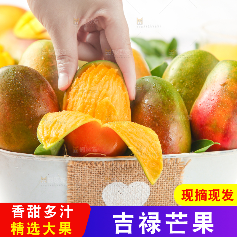 篮子里的爱文芒