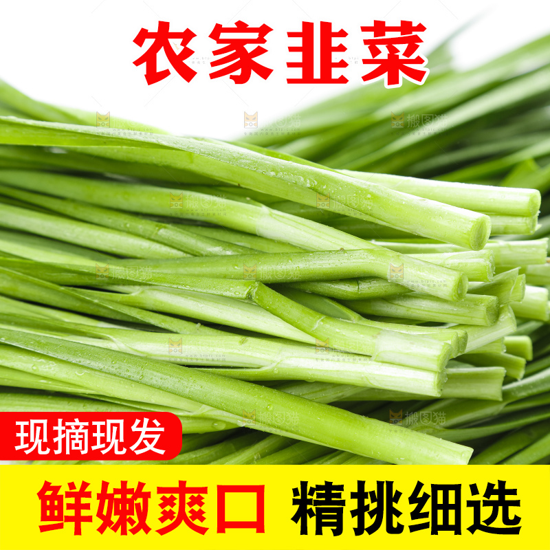 竹签上串着新鲜韭菜