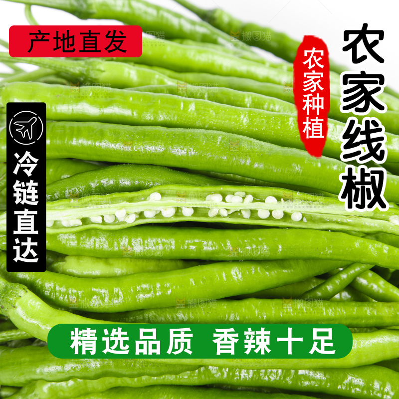 白底上的青线椒