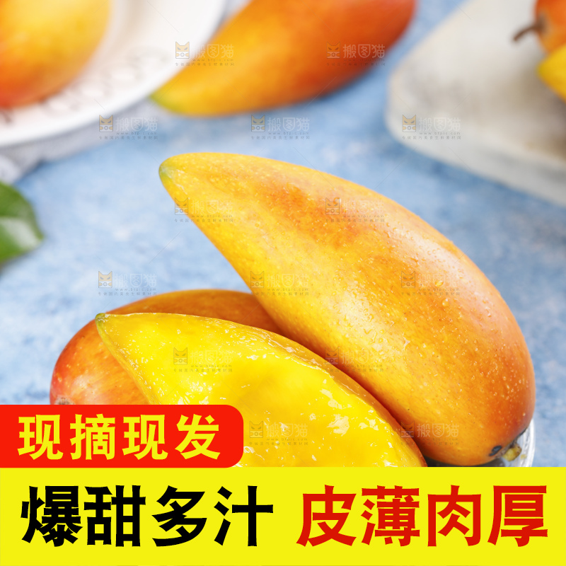 蓝底上的海南辣椒芒